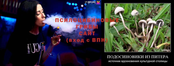 ГАЛЛЮЦИНОГЕННЫЕ ГРИБЫ Балахна