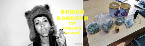 ГАЛЛЮЦИНОГЕННЫЕ ГРИБЫ Балахна