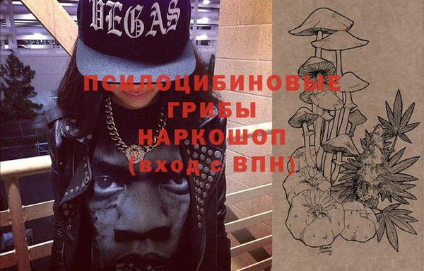 шишки Балабаново