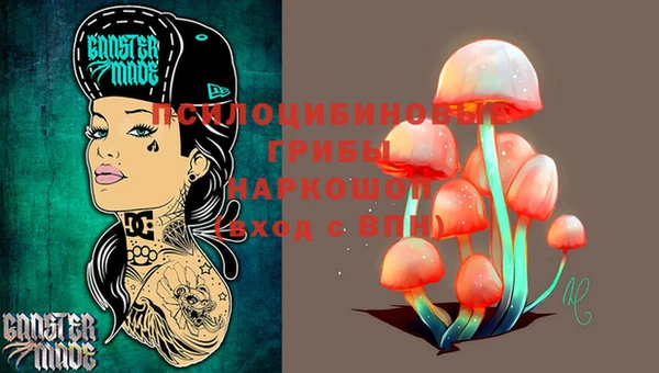 шишки Балабаново