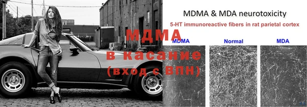 ГАЛЛЮЦИНОГЕННЫЕ ГРИБЫ Балахна