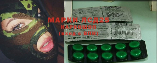 ГАЛЛЮЦИНОГЕННЫЕ ГРИБЫ Балахна