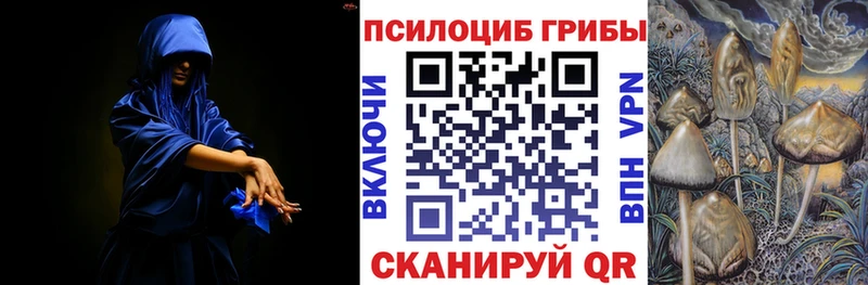 как найти наркотики  Моршанск  Галлюциногенные грибы прущие грибы 