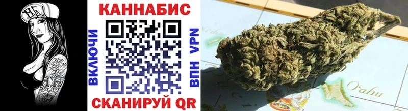 купить Моршанск Канабис сатива